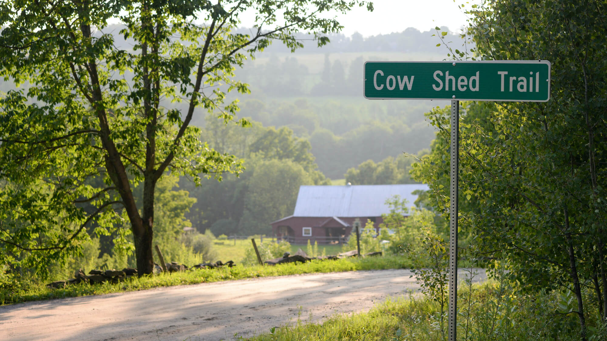 Scenery from the VT100 course, featuring a road sign for Cow Shed Trail.